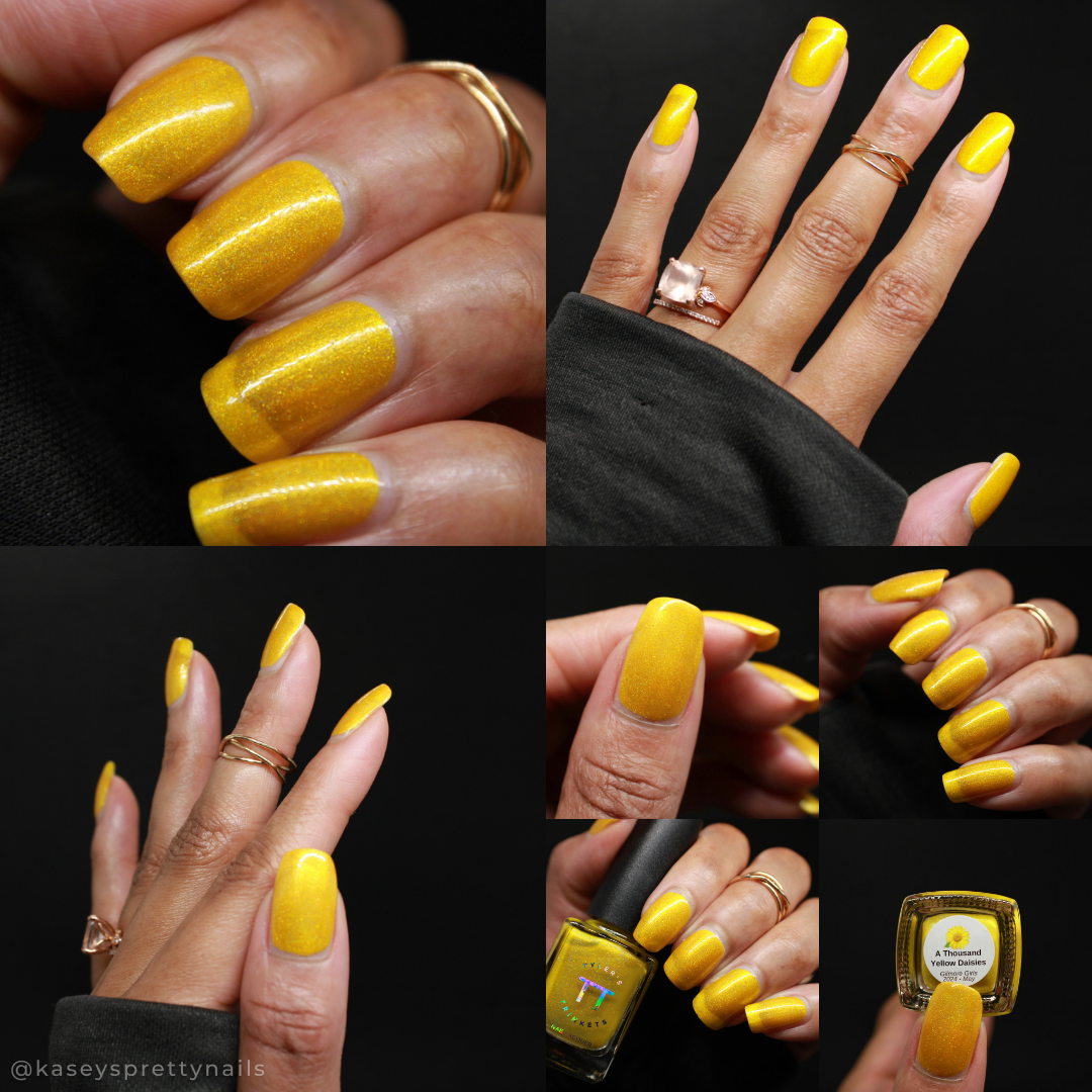 A Thousand Yellow Daisies