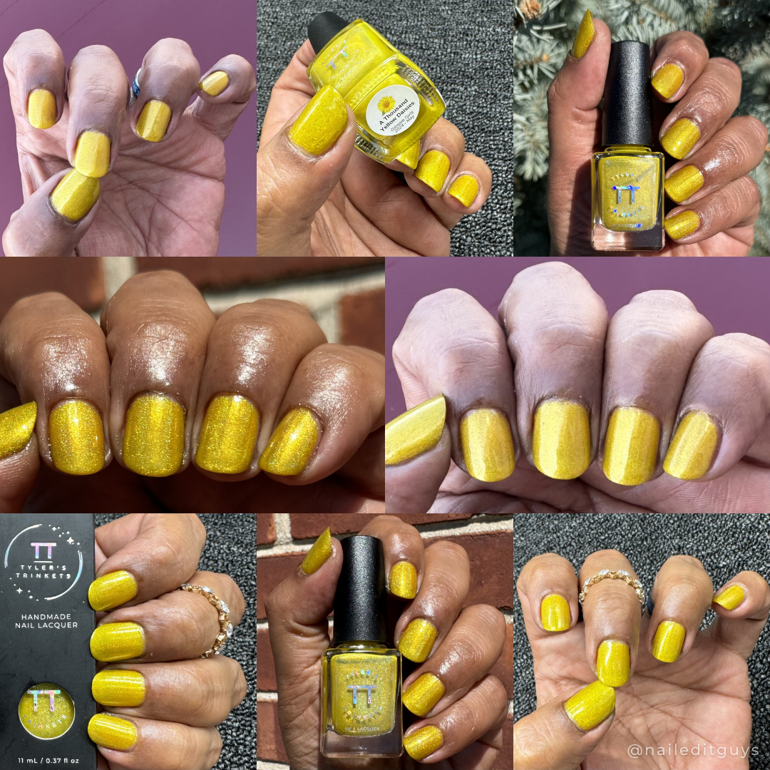 A Thousand Yellow Daisies