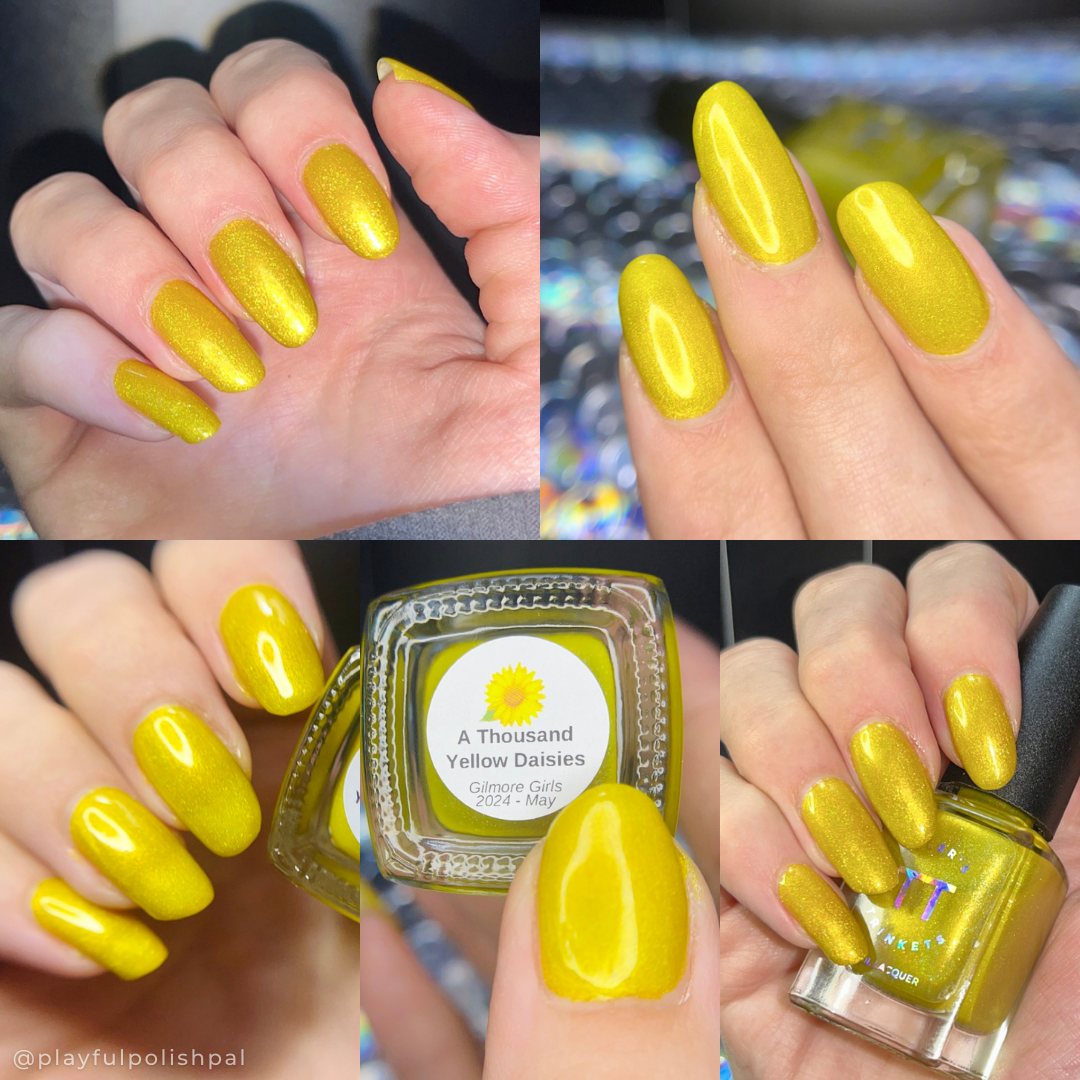 A Thousand Yellow Daisies