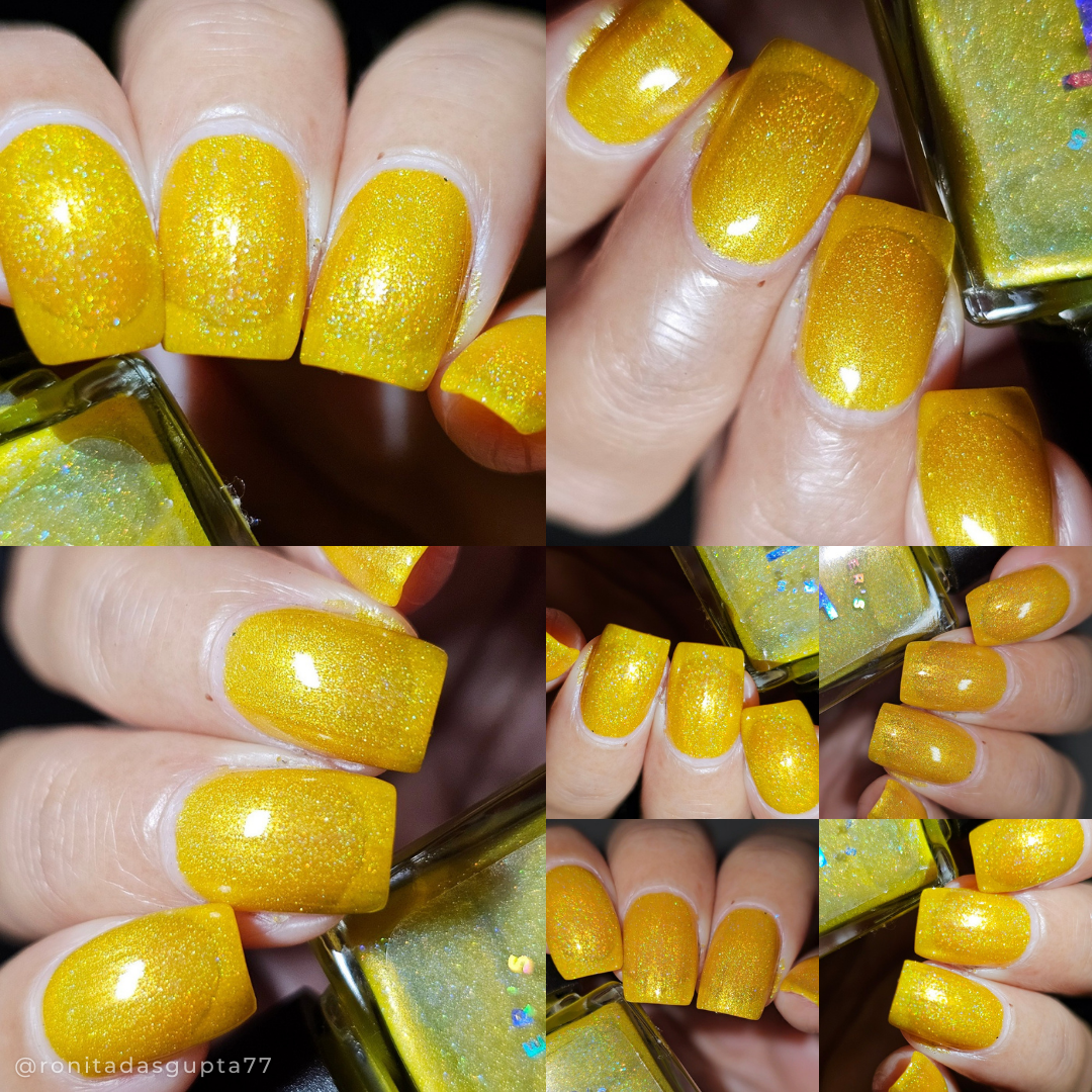 A Thousand Yellow Daisies