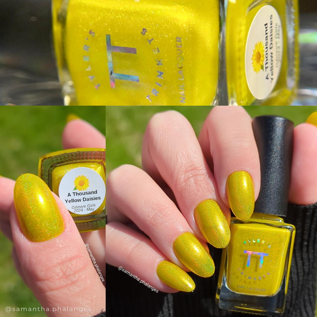 A Thousand Yellow Daisies