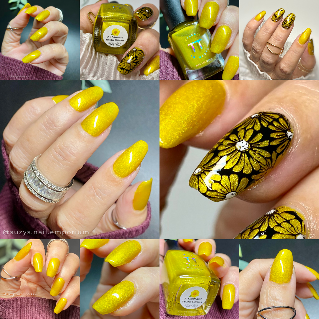 A Thousand Yellow Daisies