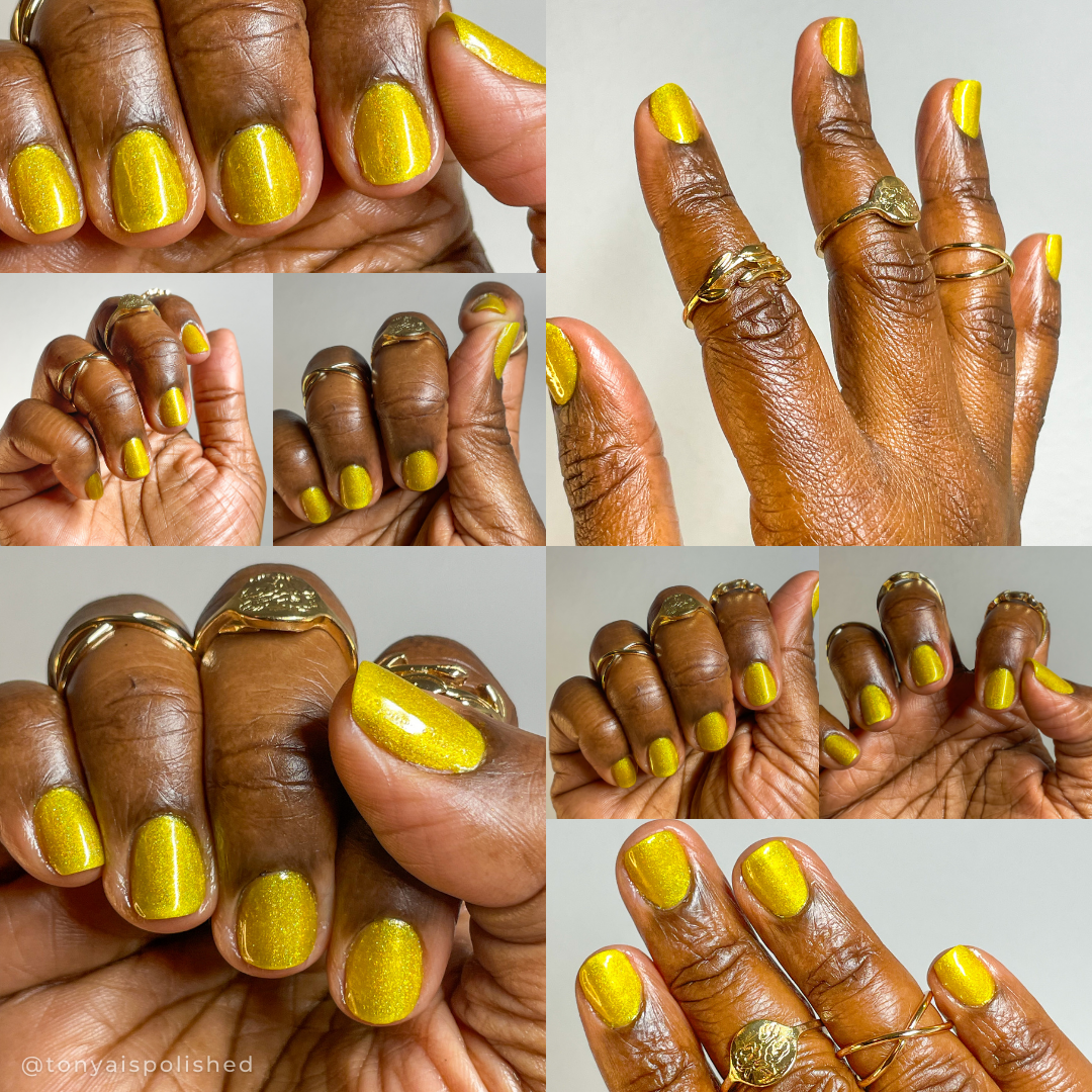 A Thousand Yellow Daisies