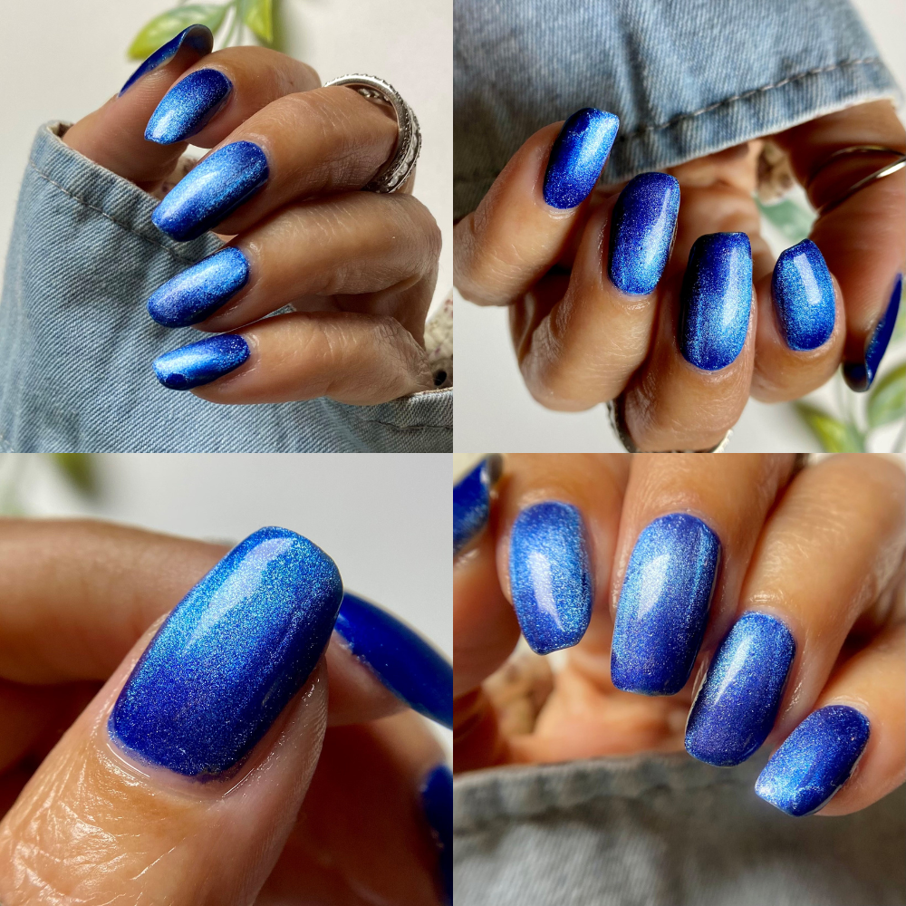 LBH: Blue Dragon